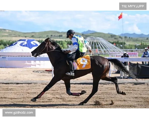 内蒙重大赛事(内蒙古举办过的运动赛事)
